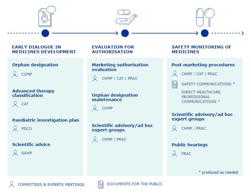 Overview of healthcare professionals' involvement along the medicines lifecycle at EMA