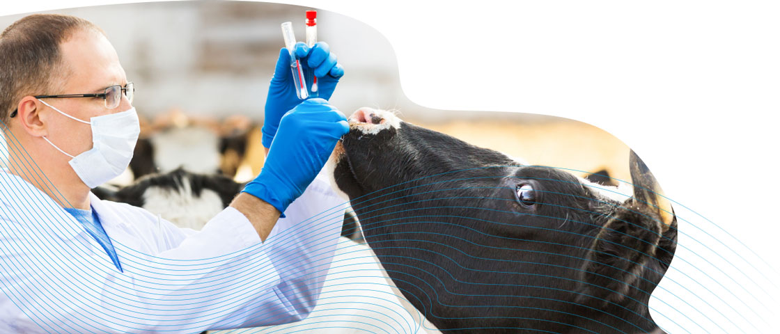 Veterinary medicines