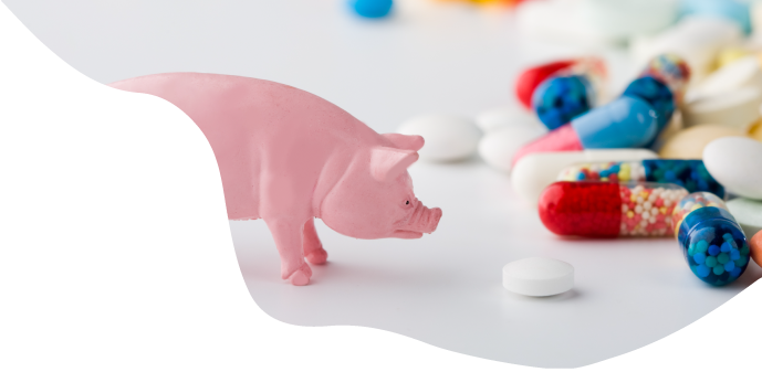 Veterinary medicines