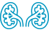 kidneys icon