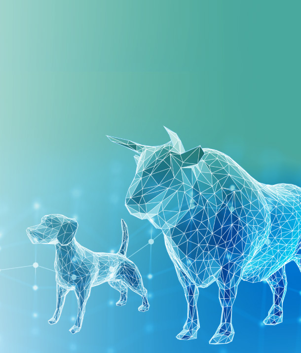 Implementing the veterinary medical products regulation