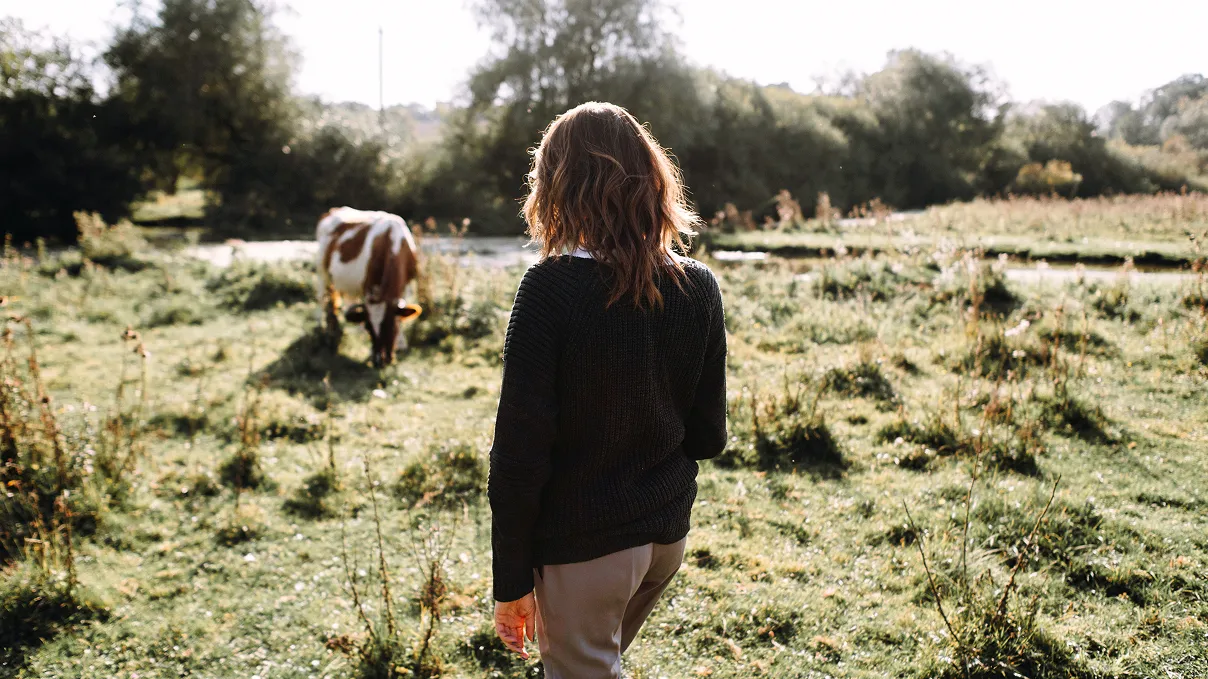 Woman walking through a grassy field toward a grazing cow on a sunny day, with trees and natural landscape in the background.