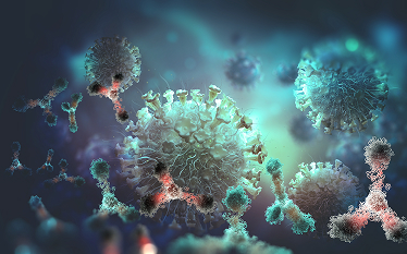 3D-rendered illustration of virus particles and antibodies interacting, symbolising an immune response or medical research.
