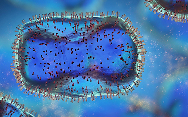 3D-rendered illustration of a virus or bacterium under a microscope, showing a blue, oval-shaped structure with red protein markers on its surface.