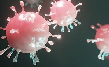Illustration of multiple pink virus particles with spike-like projections, resembling a digital rendering of a coronavirus.