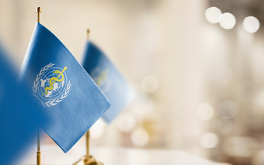 World Health Organization flags displayed on table-top poles in an indoor setting