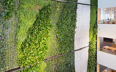 Interior view of the EMA building showing a vertical green plant wall and open office balconies