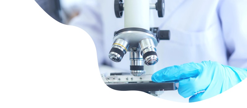 Microscope