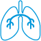 lungs