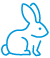 rabbit