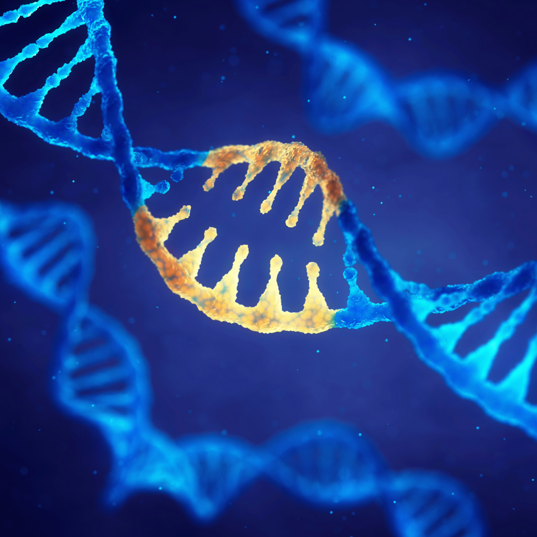 Casgevy gene editing therapy picture showing DNA on blue background