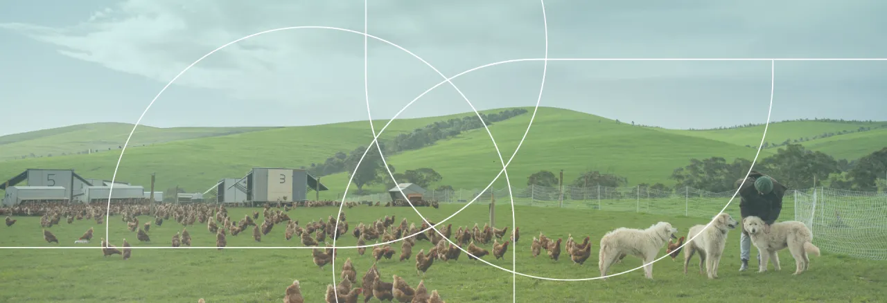 Veterinary medicines 2025