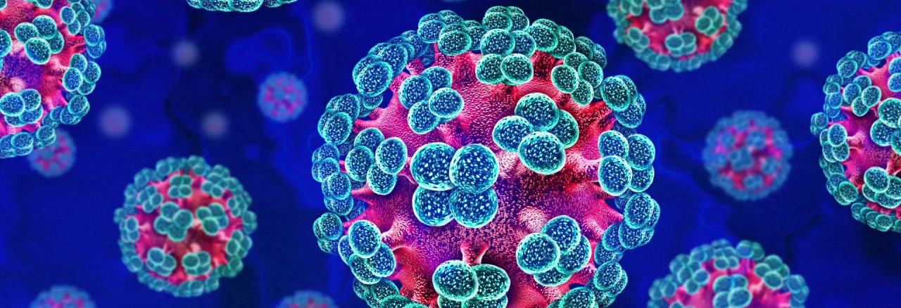 Hantavirus particles illustrated in 3D, showing spherical viruses with surface proteins