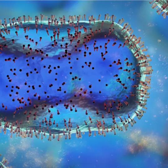 Monkeypox slider image