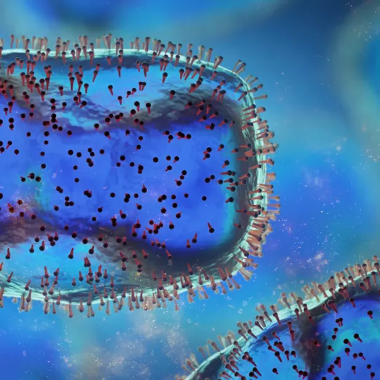 monkeypox_image_permanent_slider_1.png