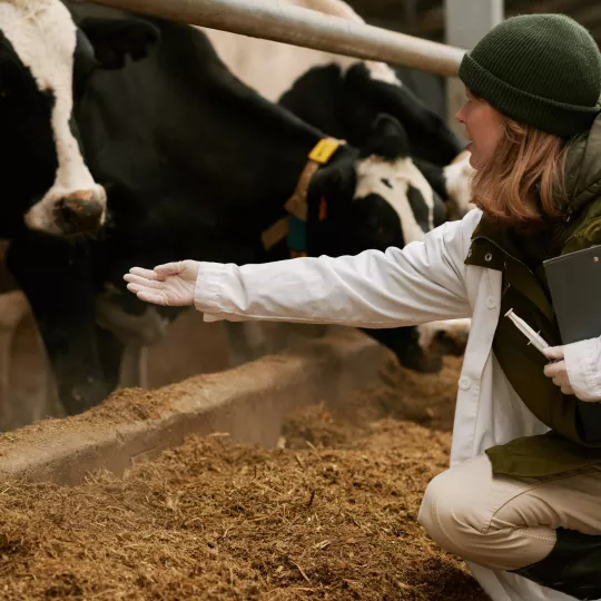 Antimicrobial Sales and Use platform square