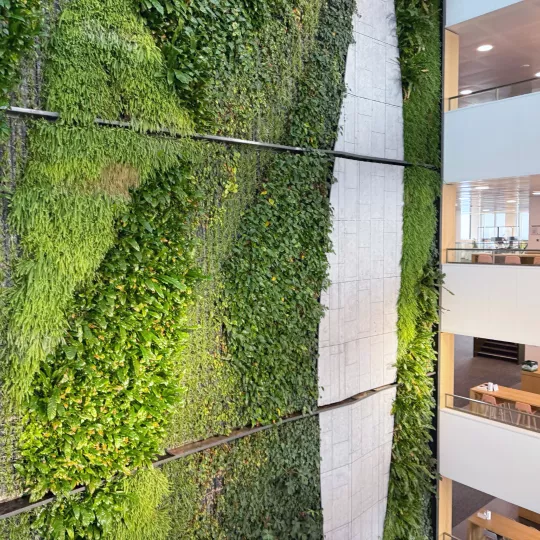 A green wall inside the EMA building