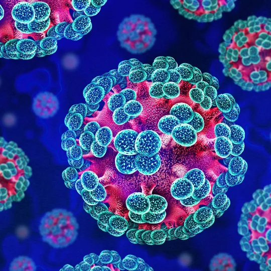 Hantavirus particles illustrated in 3D, showing spherical viruses with surface proteins