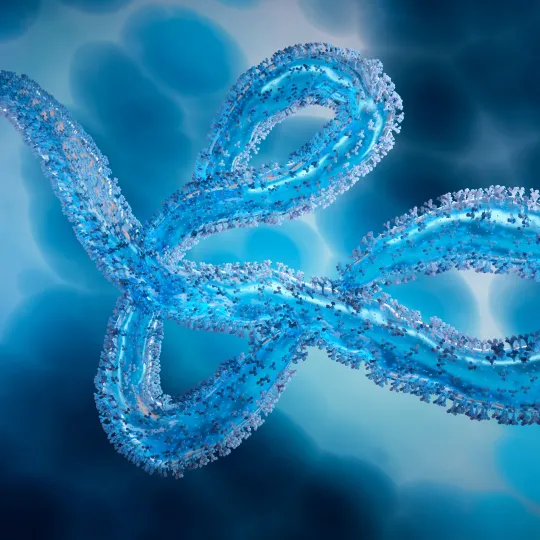 Illustration of a blue, filament-shaped Ebola virus particle twisting against a blurred microscopic background