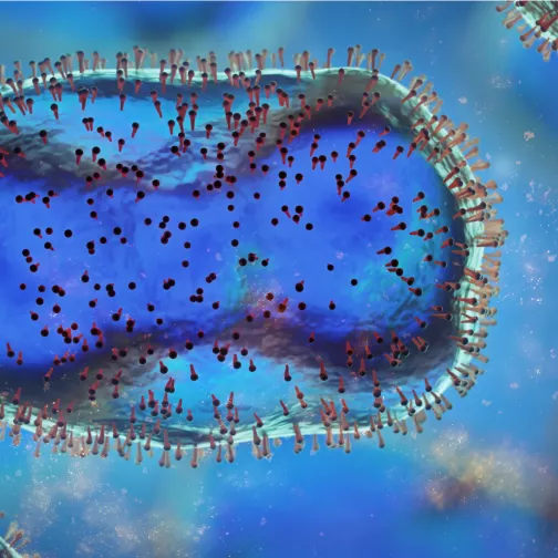 Monkeypox slider image