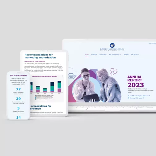 Annual report 2023 formats