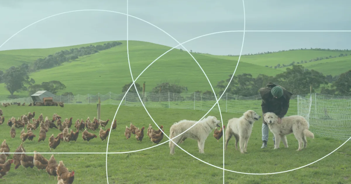 Veterinary medicines in 2025