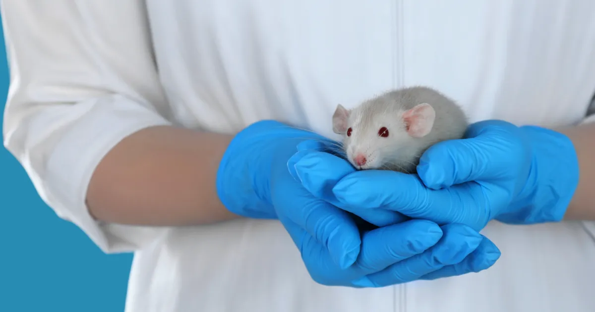EMA consults on virtual control groups to help reduce animal use in medicines development