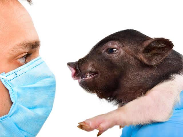 veterinary_regulation.jpg veterinary_regulation.jpg