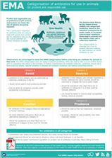AMEG infographic