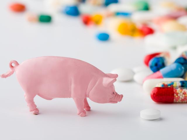 Veterinary ADR report slider