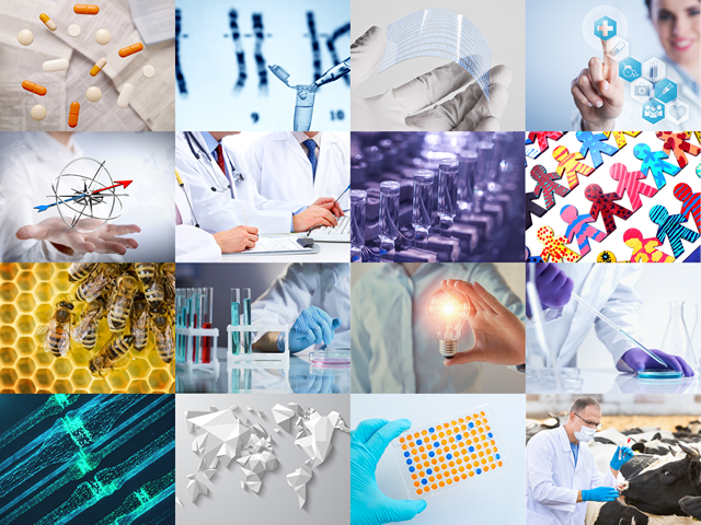 regulatory_science_strategy_2025_adopted.png Regulatory Science Strategy 2025 slider