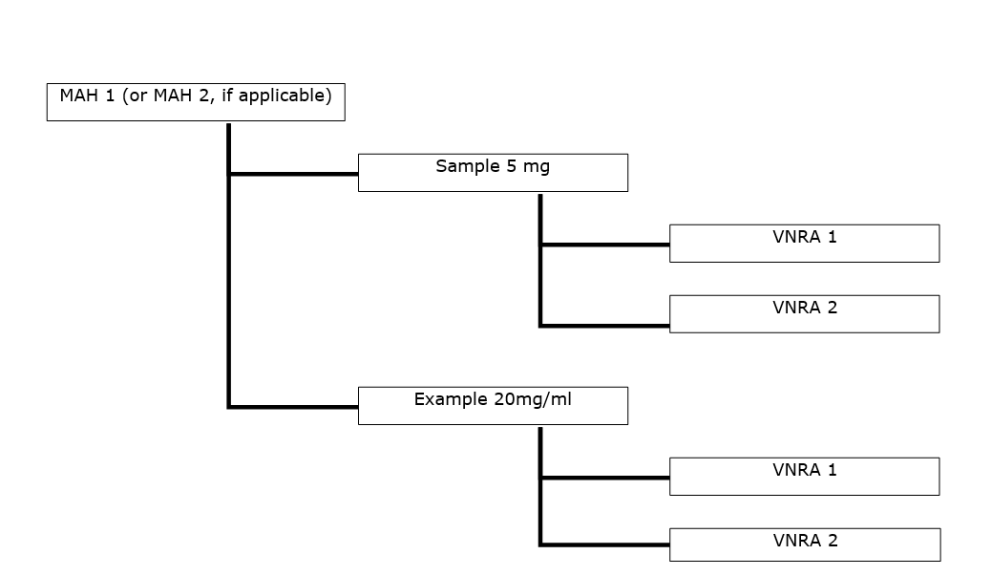 VRNA sample diagram 5
