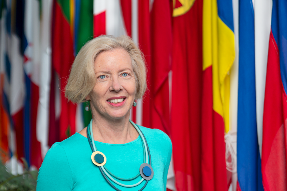 ema's executive director emer cooke eu flags