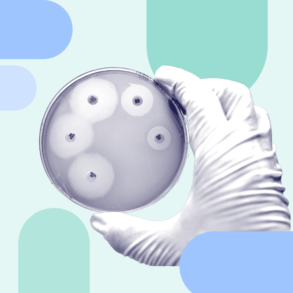 Gloved hand holding a Petri dish to symbolise work done to develop antimicrobial medicines